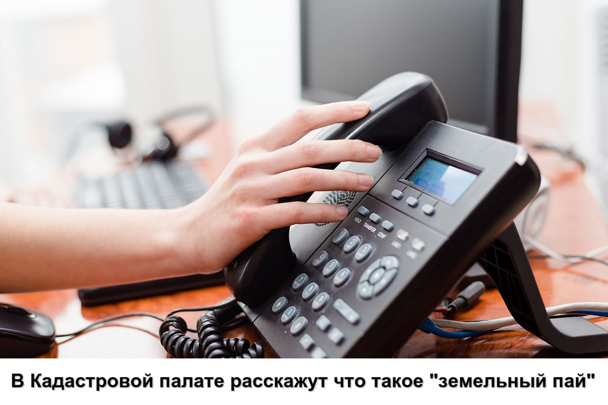 В Кадастровой палате расскажут что такое «земельный пай»