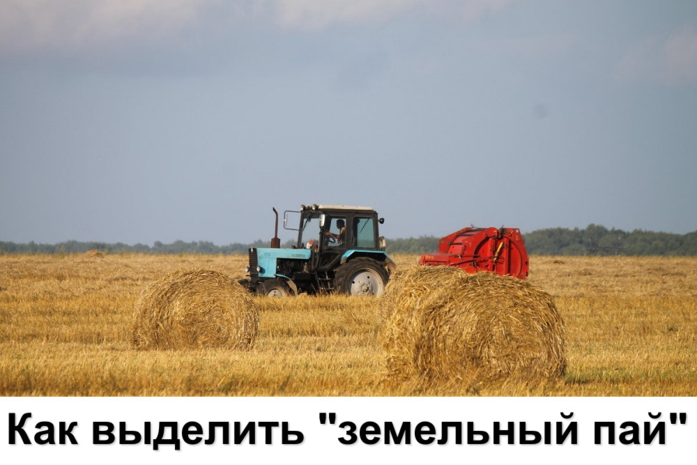 Как выделить «земельный пай» Как выделить «земельный пай»