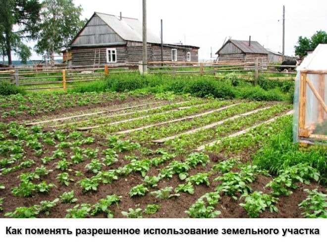 Как поменять разрешенное использование земельного участка