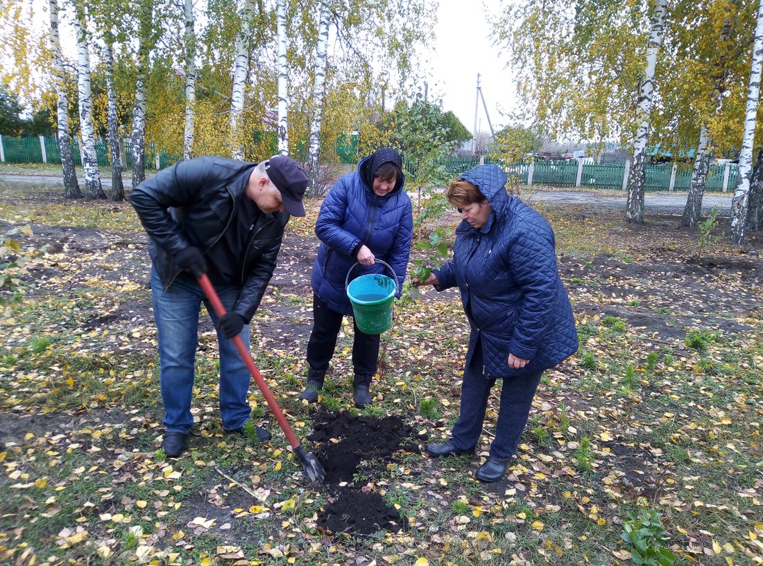 Субботник село Куликово посадка деревьев