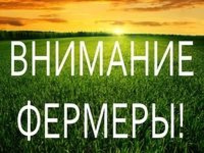 С 12 по 29 мая 2020 года возобновляется прием документов для предоставление грантов крестьянским (фермерским) хозяйствам.
