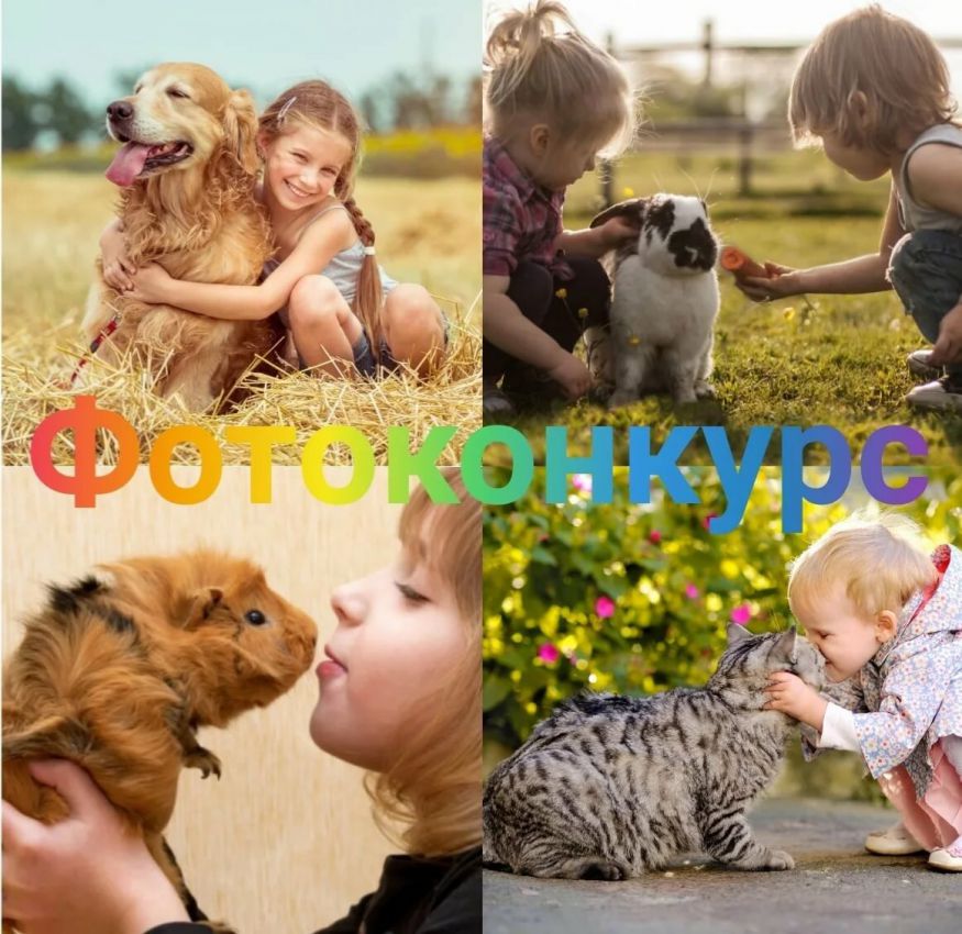 Конкурс фотографий "Наши питомцы"