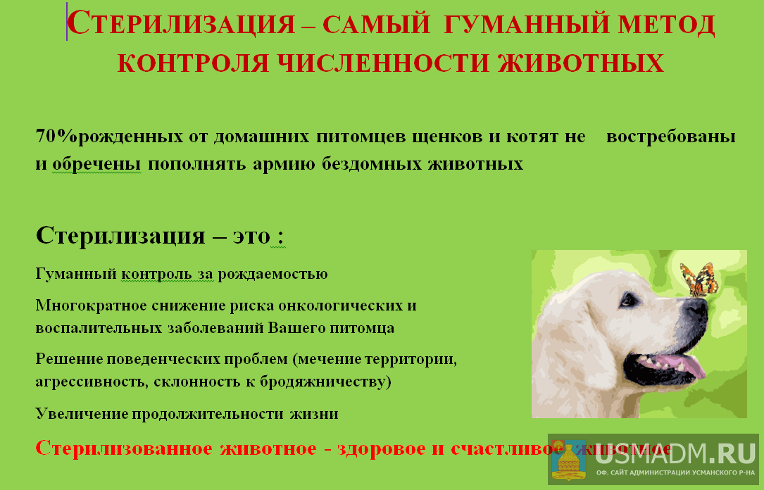 Информация для владельцев собак и кошек