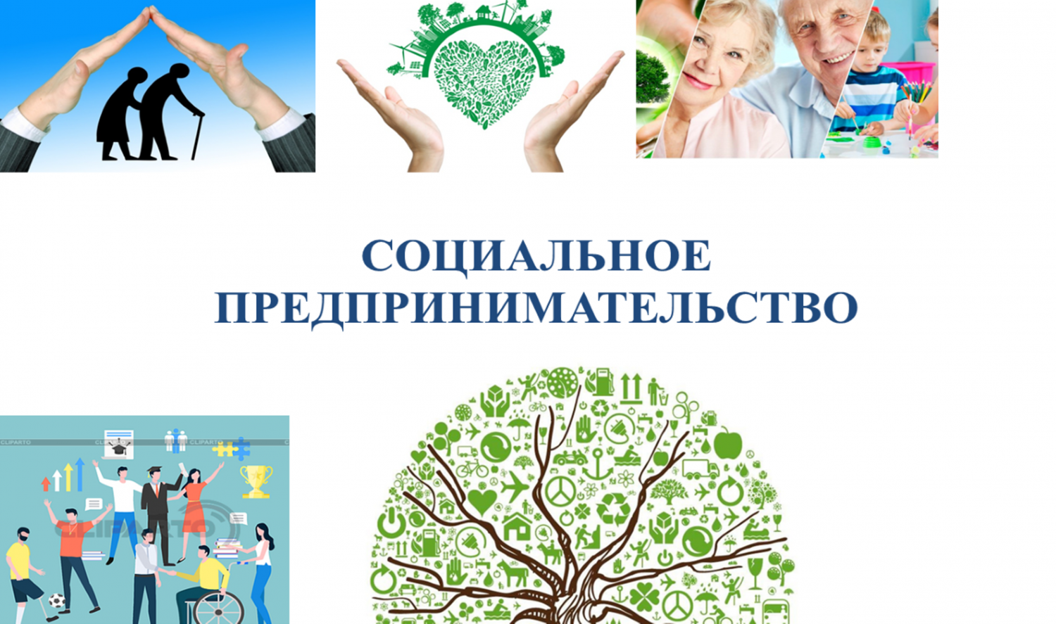 Что такое социальное предпринимательство
