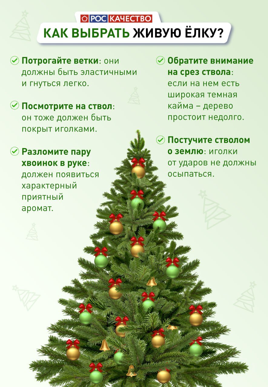 Скоро Новый год! Какую елку выбрать?