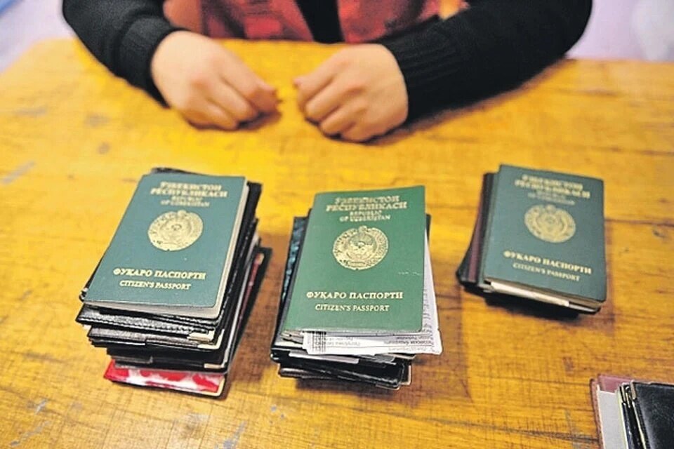 Указ губернатора по мигрантам Указ губернатора по мигрантам