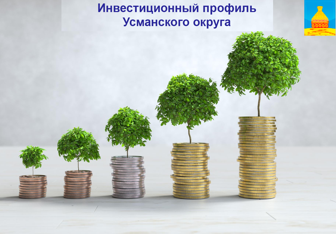Инвестиционный профиль